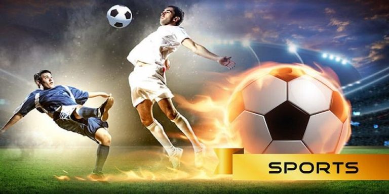 Discover the vibrant world of online sports at